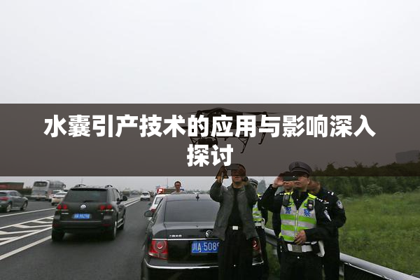 水囊引产技术的应用与影响深入探讨
