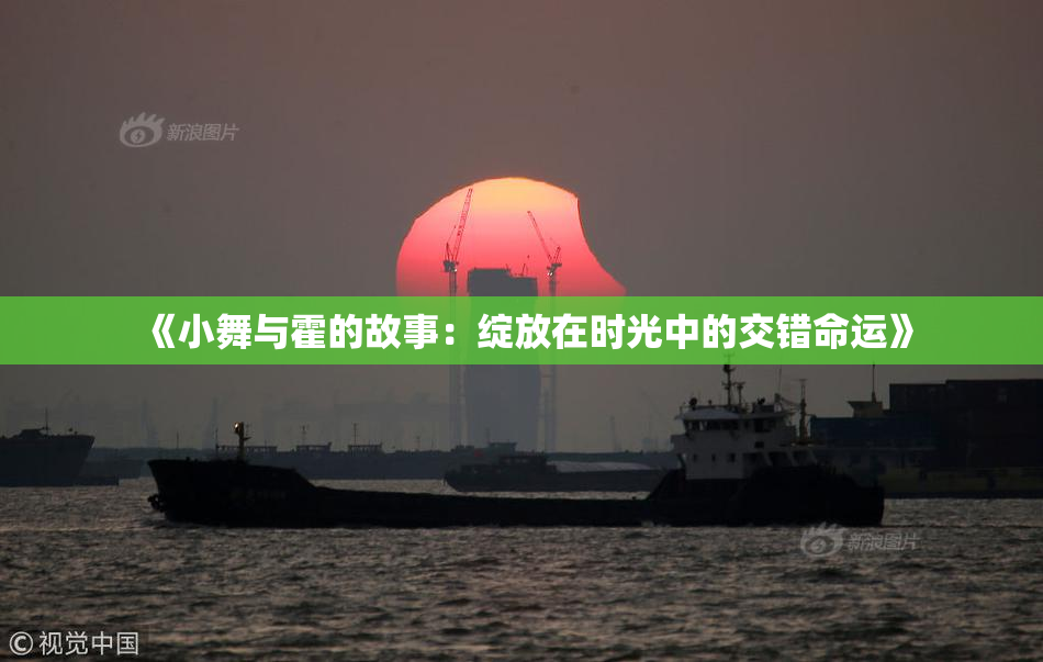 《小舞与霍的故事：绽放在时光中的交错命运》