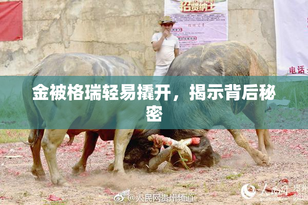 金被格瑞轻易撬开，揭示背后秘密