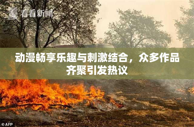 动漫畅享乐趣与刺激结合，众多作品齐聚引发热议