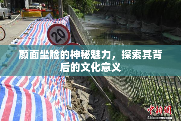 颜面坐脸的神秘魅力，探索其背后的文化意义