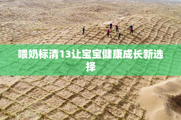 喂奶标清13让宝宝健康成长新选择