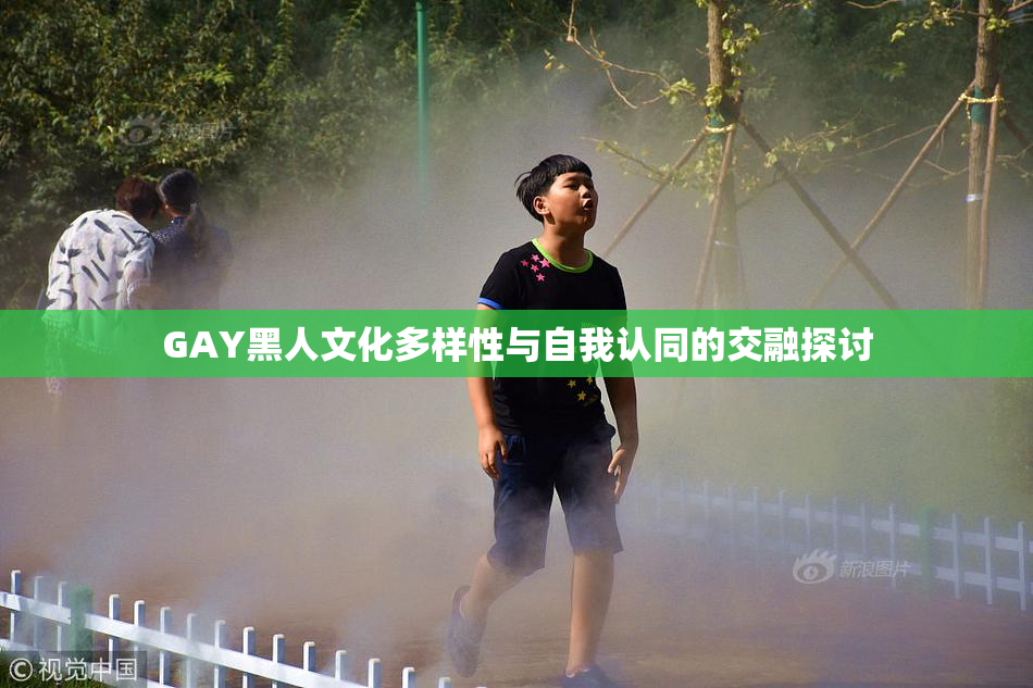 GAY黑人文化多样性与自我认同的交融探讨