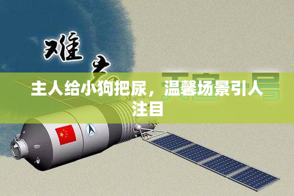 主人给小狗把尿，温馨场景引人注目