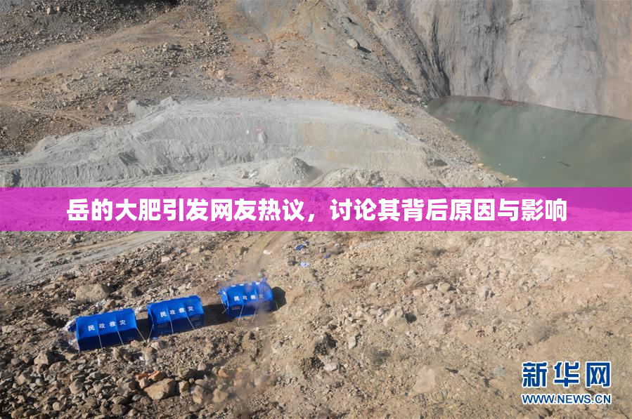 岳的大肥引发网友热议，讨论其背后原因与影响
