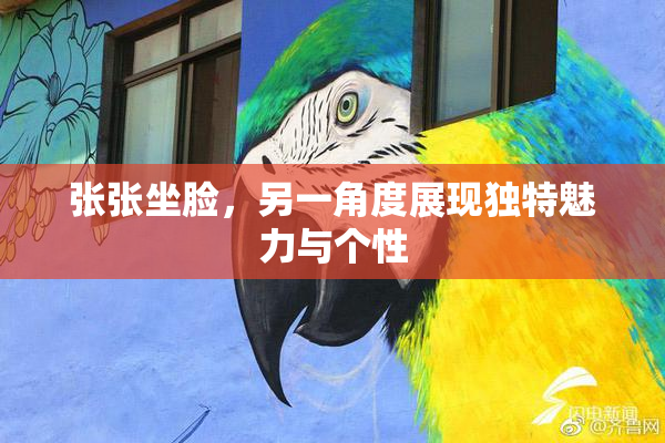 张张坐脸，另一角度展现独特魅力与个性