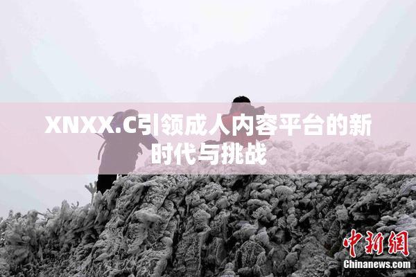 XNXX.C引领成人内容平台的新时代与挑战