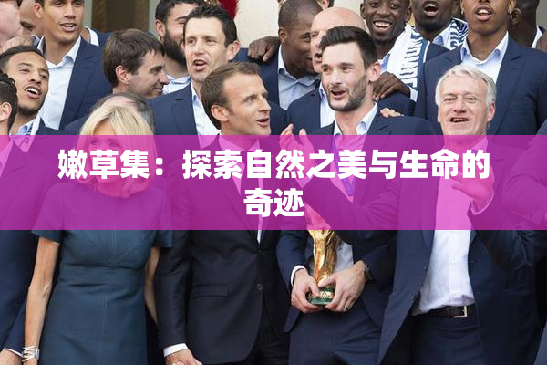 嫩草集：探索自然之美与生命的奇迹