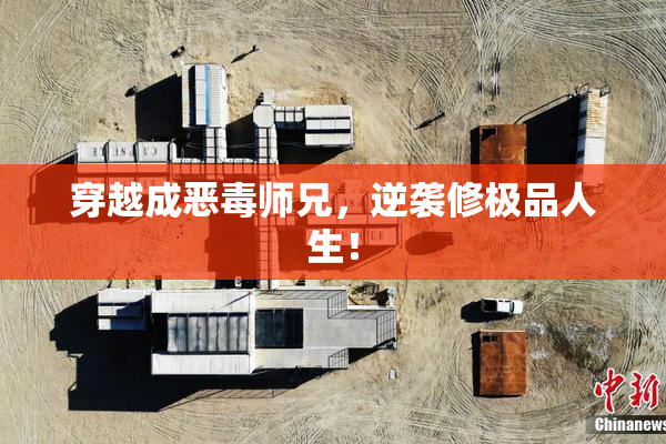 穿越成恶毒师兄，逆袭修极品人生！