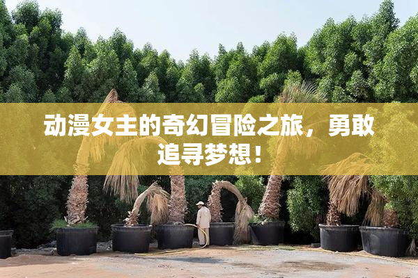 动漫女主的奇幻冒险之旅，勇敢追寻梦想！