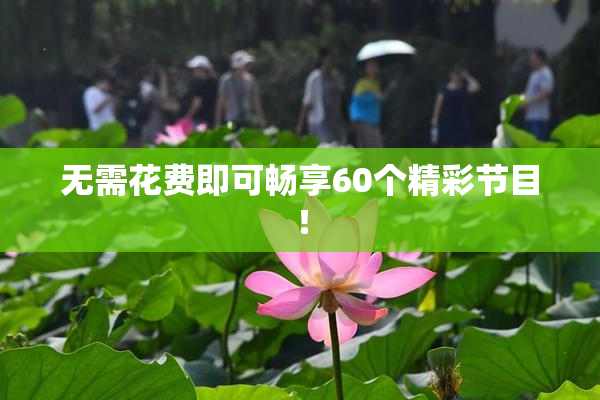 无需花费即可畅享60个精彩节目！