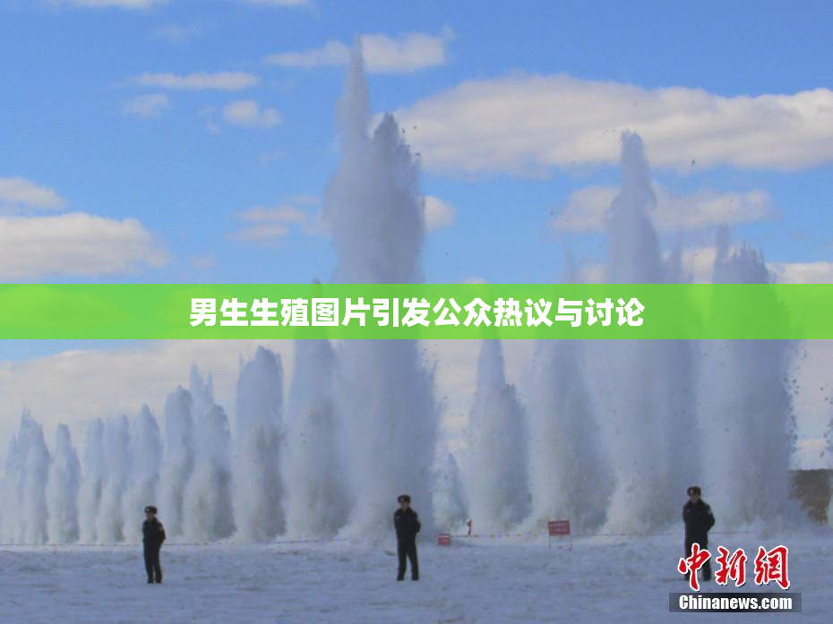男生生殖图片引发公众热议与讨论