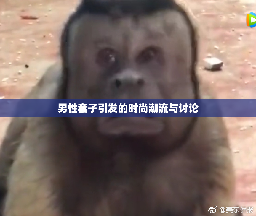 男性套子引发的时尚潮流与讨论