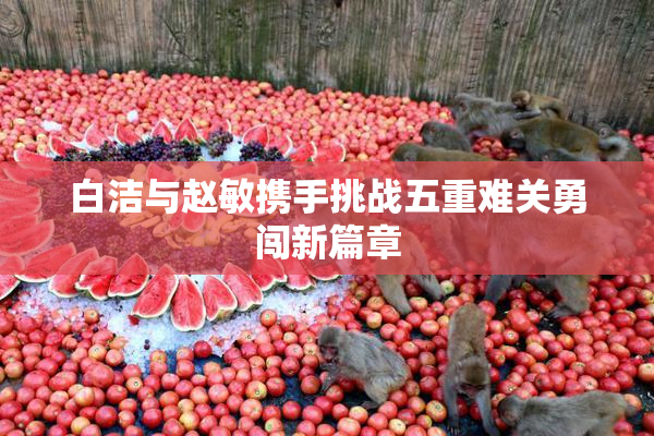 白洁与赵敏携手挑战五重难关勇闯新篇章