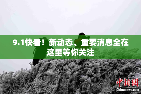 9.1快看！新动态、重要消息全在这里等你关注