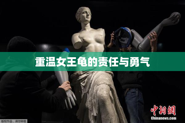 重温女王龟的责任与勇气