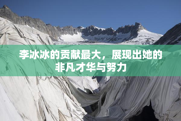 李冰冰的贡献最大，展现出她的非凡才华与努力