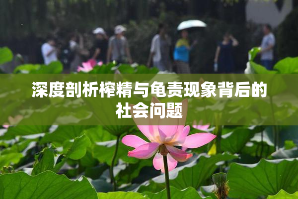 深度剖析榨精与龟责现象背后的社会问题