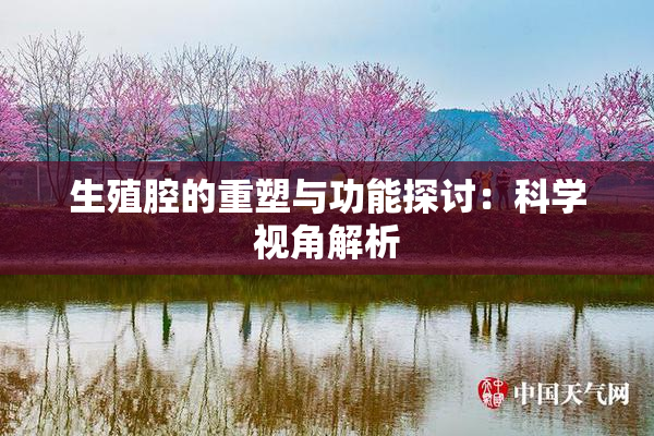 生殖腔的重塑与功能探讨：科学视角解析