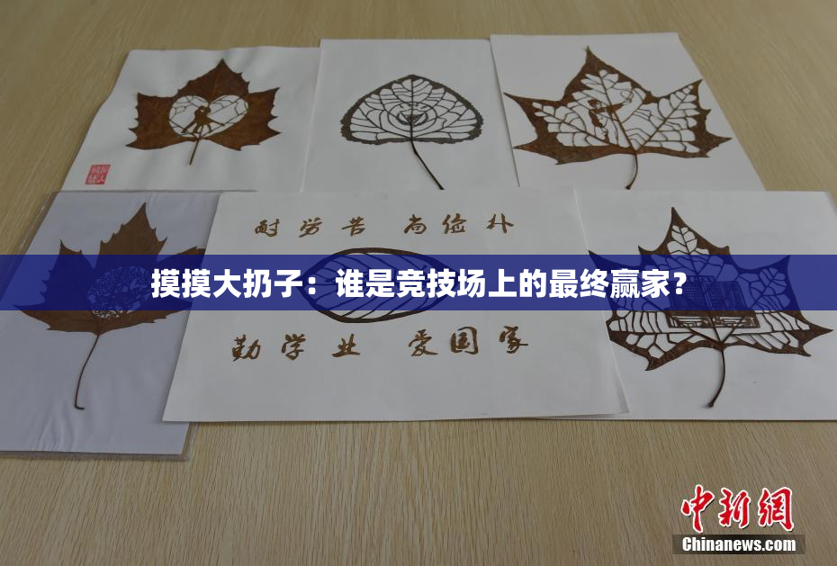 摸摸大扔子：谁是竞技场上的最终赢家？
