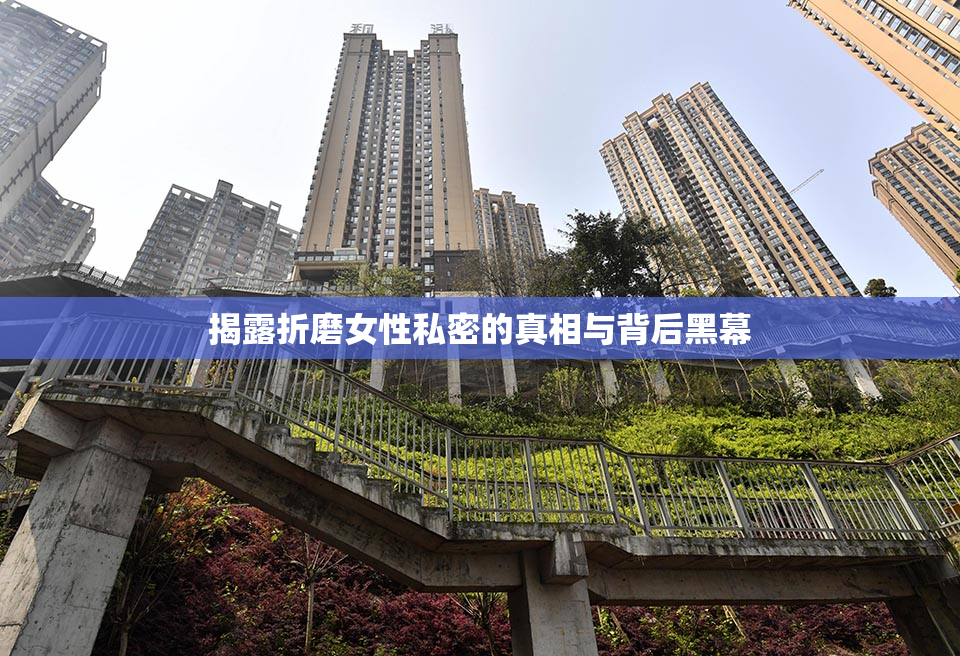 揭露折磨女性私密的真相与背后黑幕