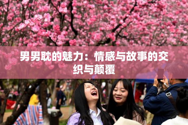 男男耽的魅力：情感与故事的交织与颠覆