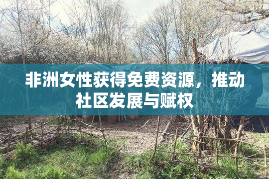 非洲女性获得免费资源，推动社区发展与赋权