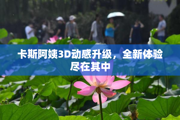 卡斯阿姨3D动感升级，全新体验尽在其中