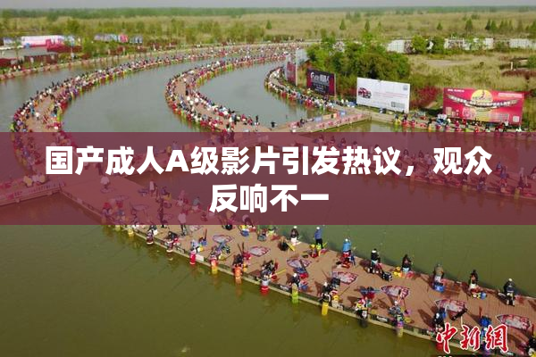 国产成人A级影片引发热议，观众反响不一