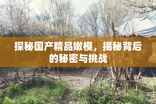 探秘国产精品嫩模，揭秘背后的秘密与挑战