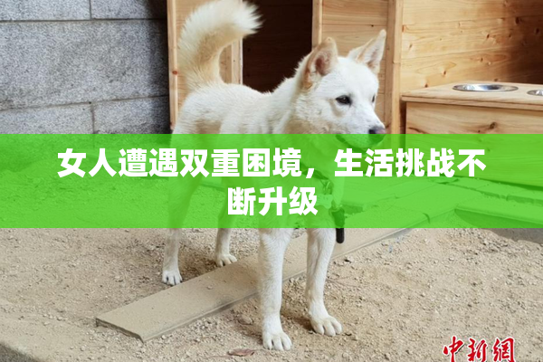 女人遭遇双重困境，生活挑战不断升级