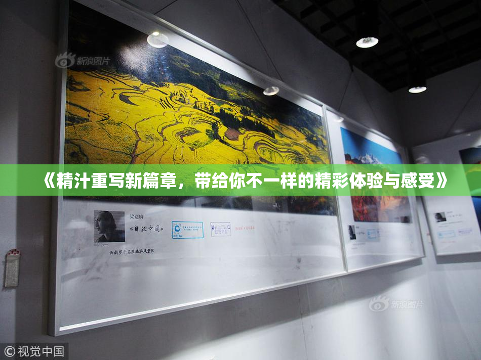 《精汁重写新篇章，带给你不一样的精彩体验与感受》