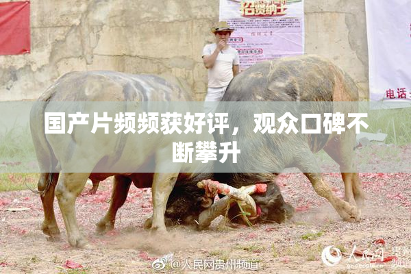 国产片频频获好评，观众口碑不断攀升