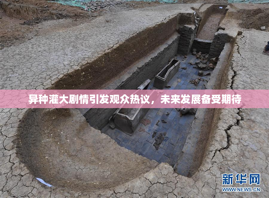 异种灌大剧情引发观众热议，未来发展备受期待