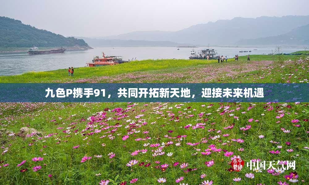 九色P携手91，共同开拓新天地，迎接未来机遇