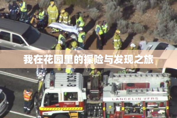 我在花园里的探险与发现之旅