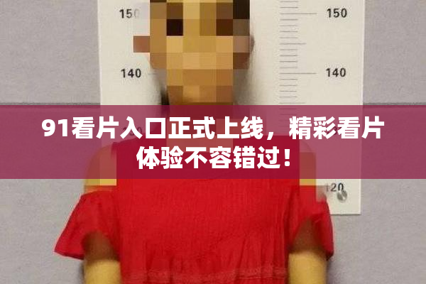 91看片入口正式上线，精彩看片体验不容错过！