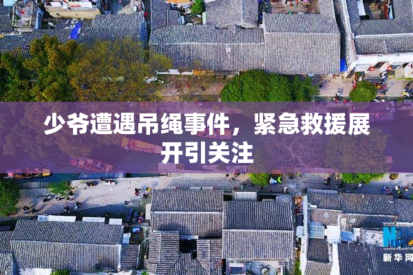 少爷遭遇吊绳事件，紧急救援展开引关注