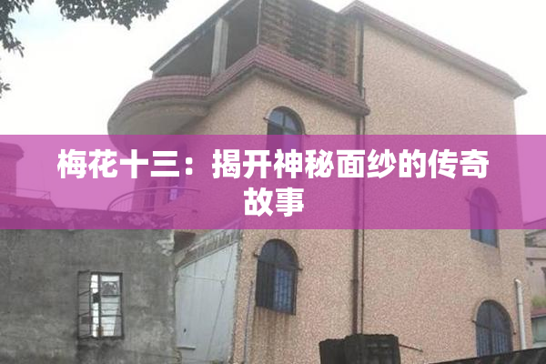 梅花十三：揭开神秘面纱的传奇故事