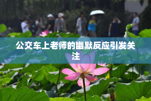 公交车上老师的幽默反应引发关注