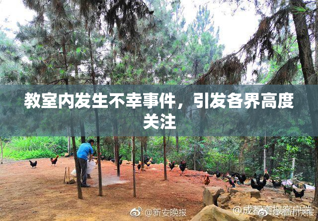 教室内发生不幸事件，引发各界高度关注