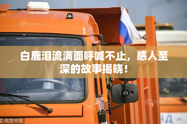白鹿泪流满面呼喊不止，感人至深的故事揭晓！