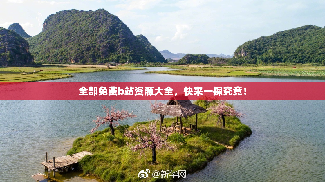 全部免费b站资源大全，快来一探究竟！