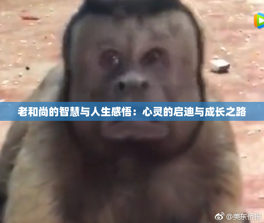 老和尚的智慧与人生感悟：心灵的启迪与成长之路
