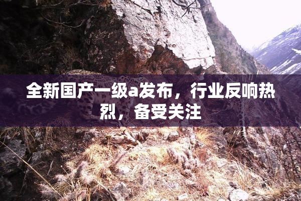 全新国产一级a发布，行业反响热烈，备受关注