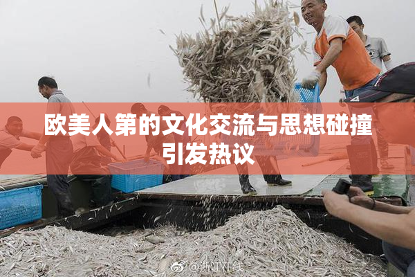 欧美人第的文化交流与思想碰撞引发热议
