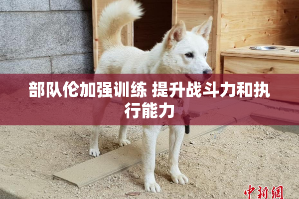 部队伦加强训练 提升战斗力和执行能力