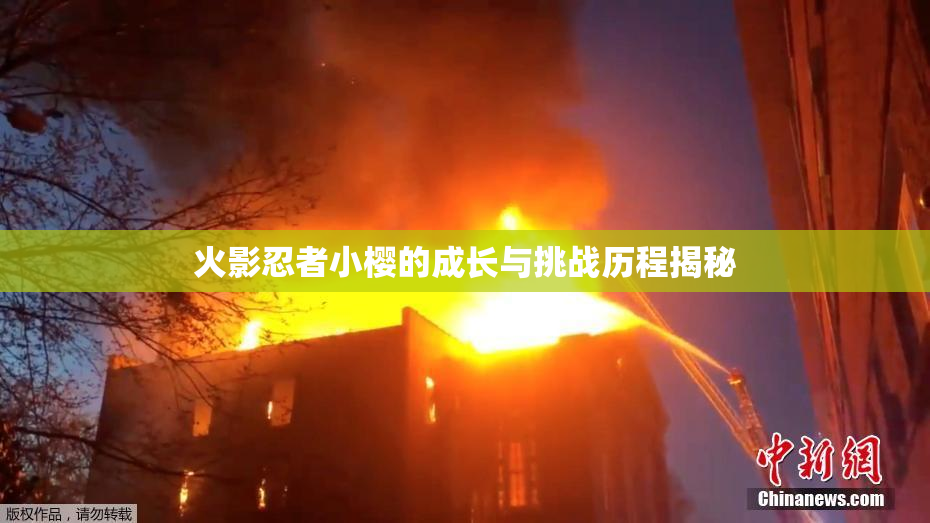 火影忍者小樱的成长与挑战历程揭秘