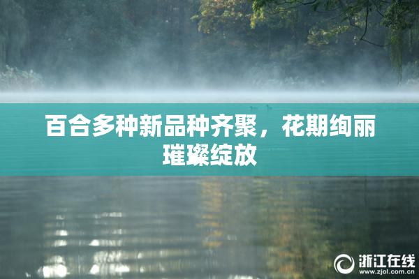 百合多种新品种齐聚，花期绚丽璀璨绽放