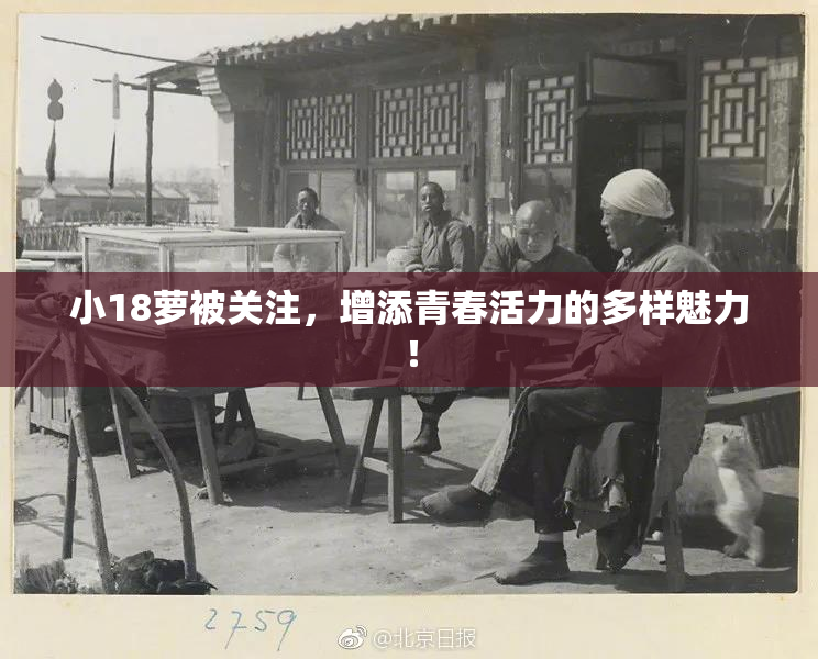 小18萝被关注，增添青春活力的多样魅力！